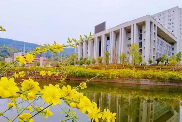 巴中职业技术学院