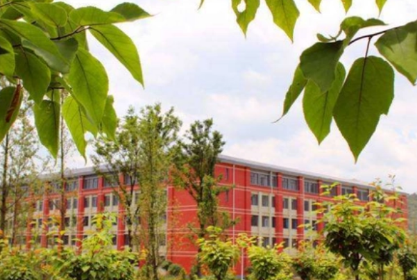 四川仪表工业学校