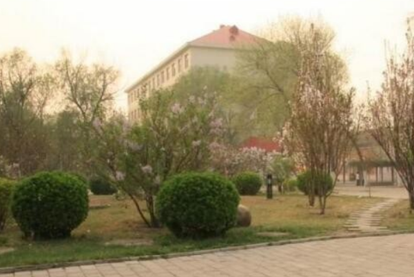 阆中机电职业学校就业率怎么样?毕业好找工作吗?