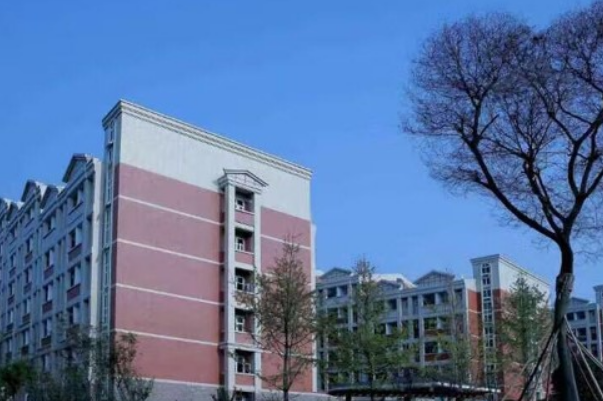 阆中机电职业学校是民办还是公办学校?