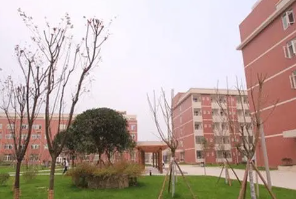 成都技师学院专升本对口学校及专业有哪些
